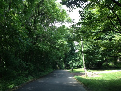 Path found in 2013 Trip